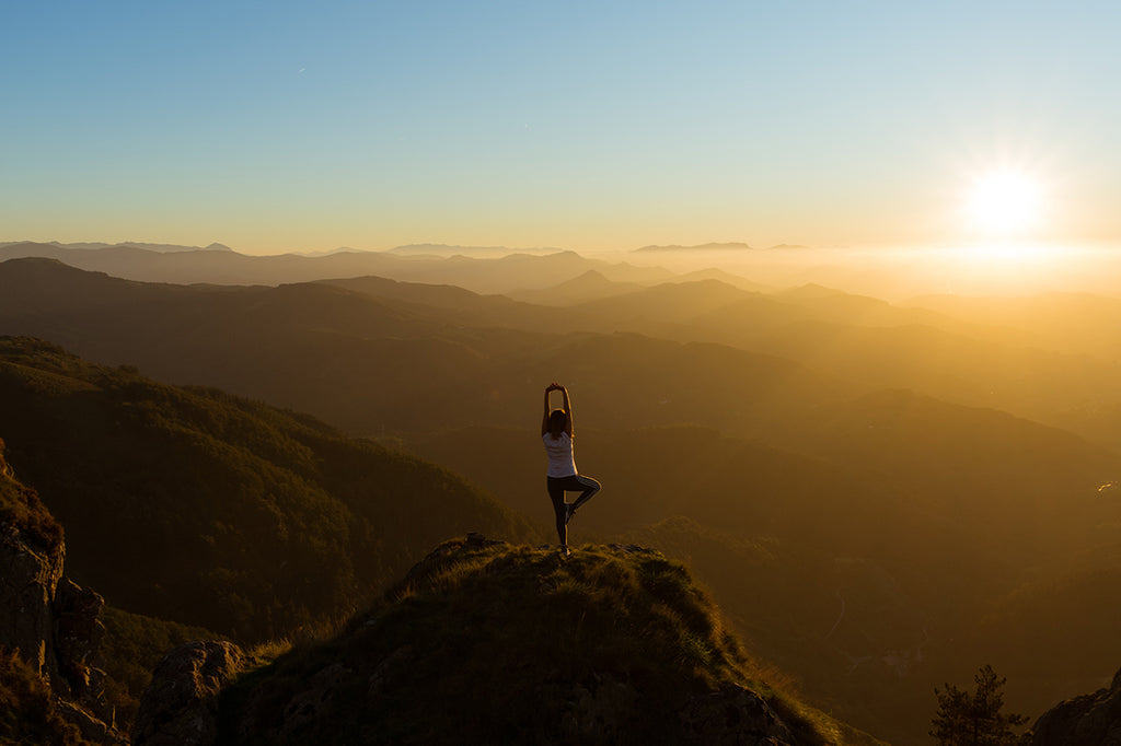 Yoga & Wellness
