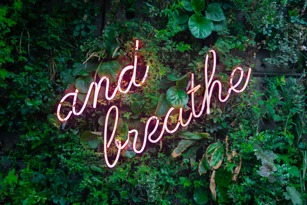 Ontdek de Beste Wellness-Trends voor Thuis