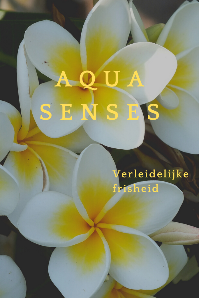 Aqua Senses All in One Hair & Body Shampoo- smart care, 300ml