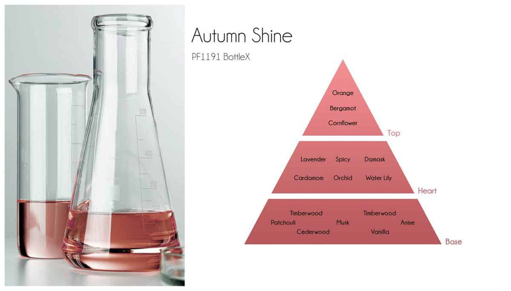 Aroma Diffusor: Autumn Shine 100 ml..